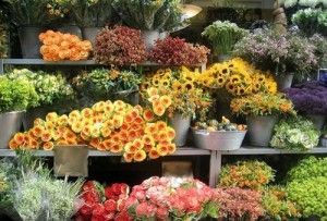 интернет-магазин цветов